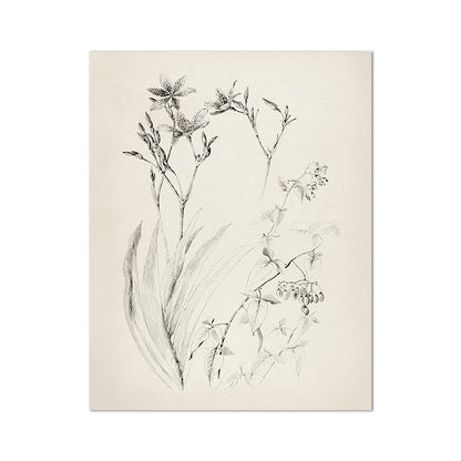 Quadro vintage