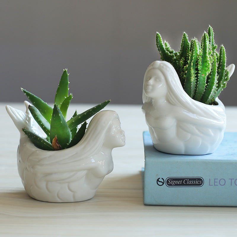 Vaso per succulente