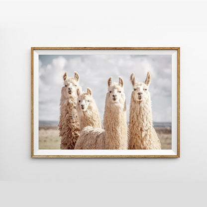 Quadro per Salotto
