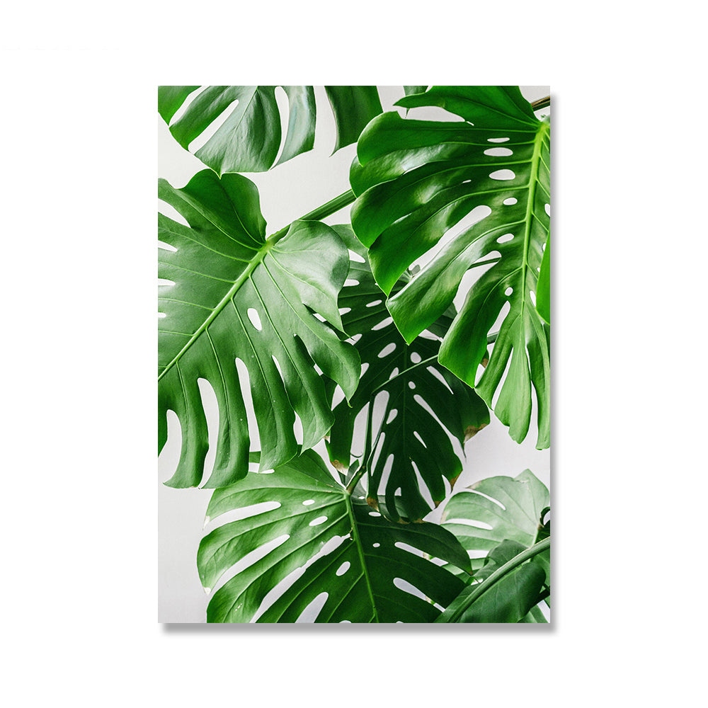 Quadro pianta verde