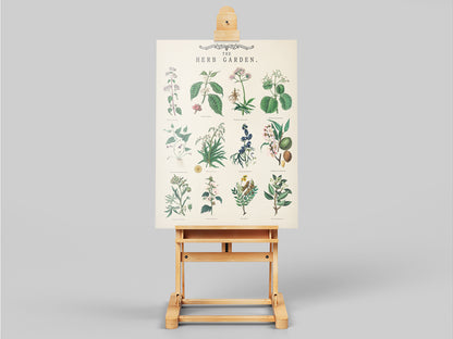 Poster orto botanico