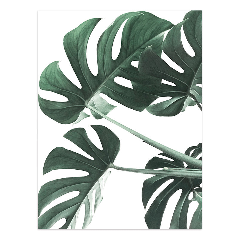 Quadro Piante tropicali