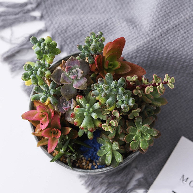 Vaso ceramica marmorizzato