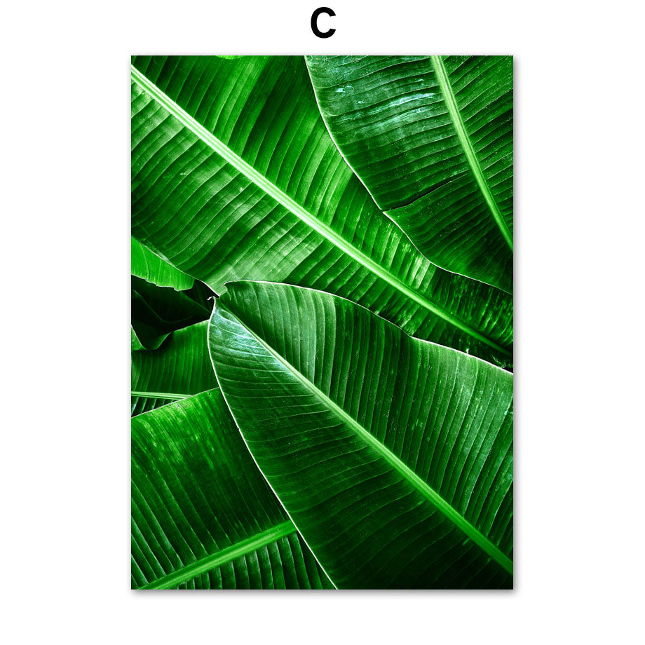 Quadro piante verdi