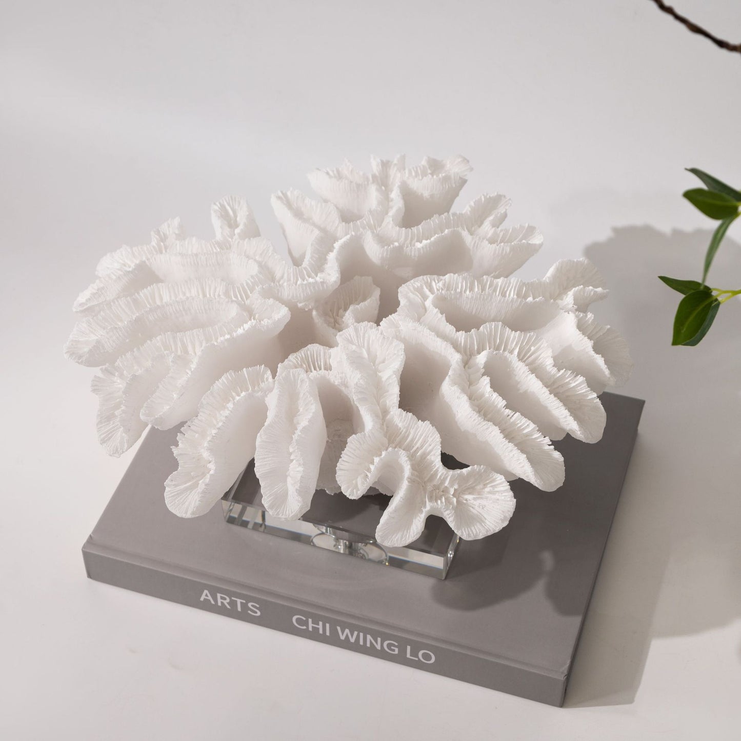 Decorazione corallo