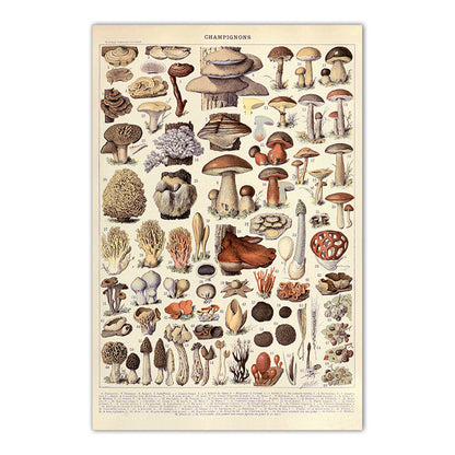 Poster Creature Vintage