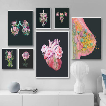 Quadro anatomico