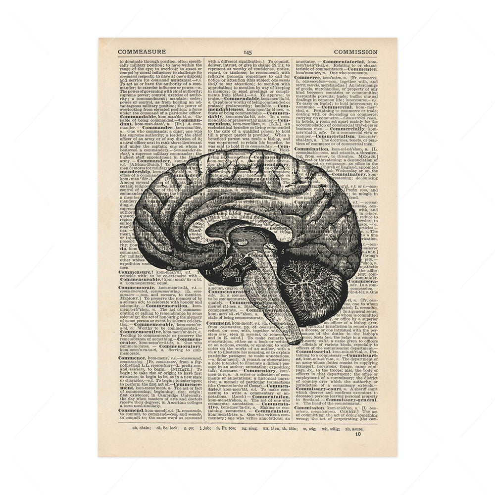 Stampa