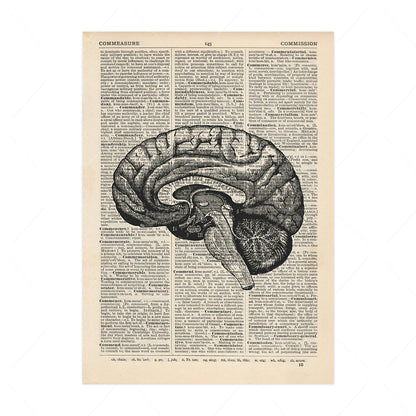 Stampa