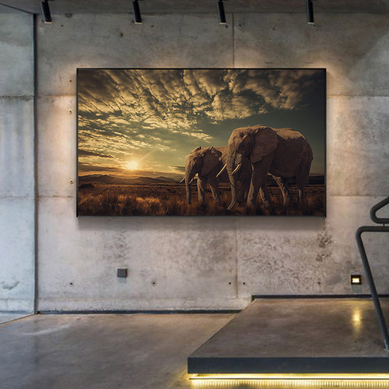 Quadro elefante