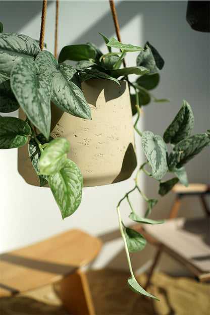 Vaso Appeso Cemento