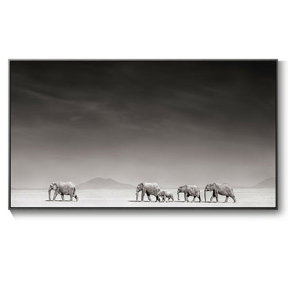 Poster elefante bianco nero