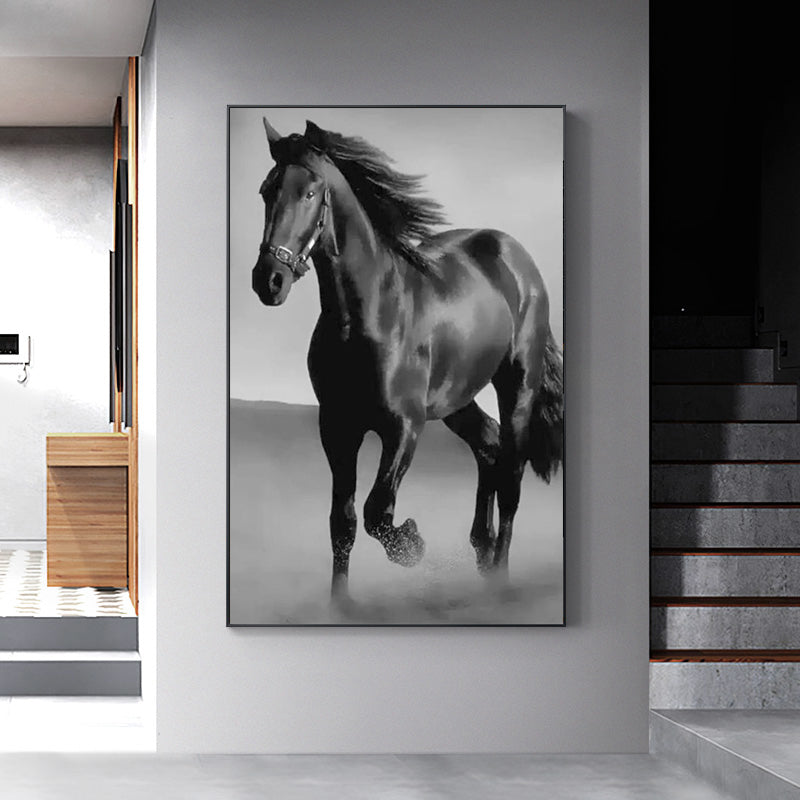 Quadro cavallo