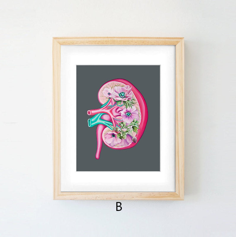 Quadro anatomico