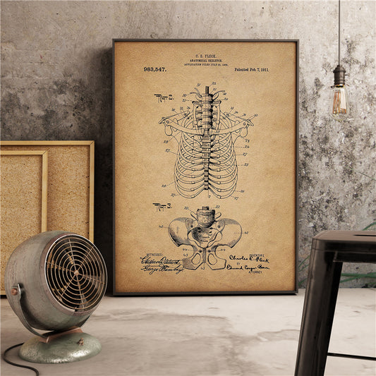 Poster Scheletro anatomico