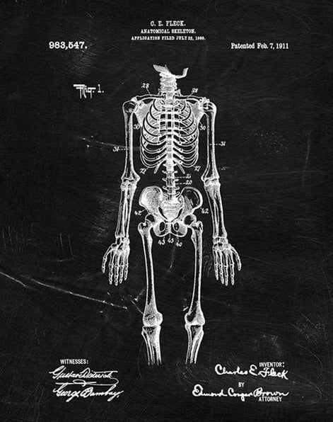 Quadro anatomico