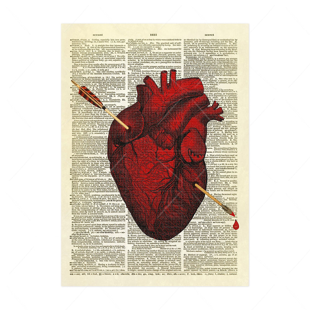 Stampa