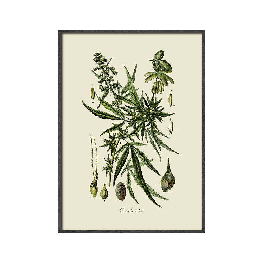 Quadro su tela