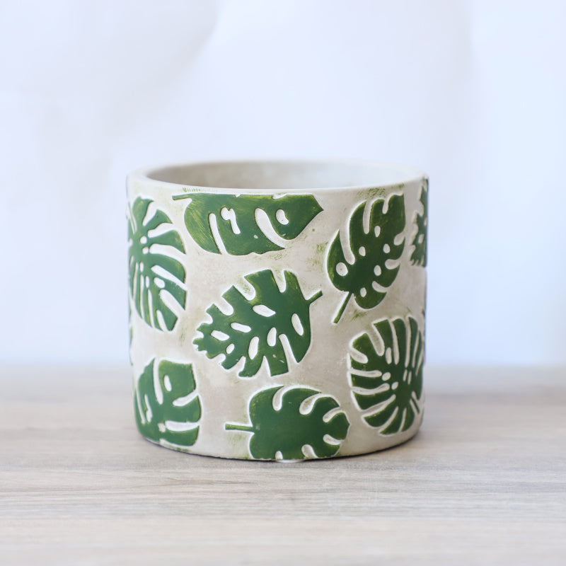 Vaso cemento foglie monstera