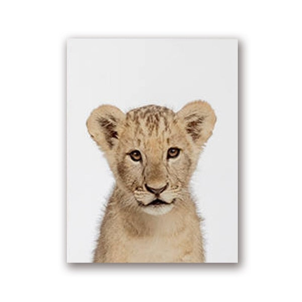Quadro fauna selvatica