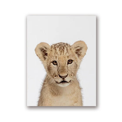 Quadro fauna selvatica