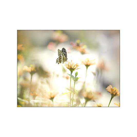 Quadro su tela Panca e fiori selvatici