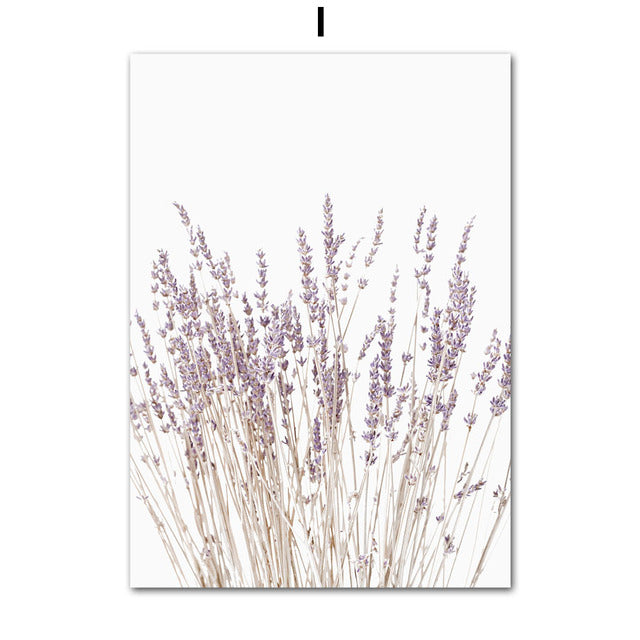 Poster Campo Lavanda
