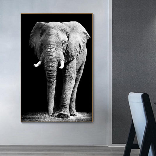 Quadro su tela Elefante africano ritratto singolo su nero