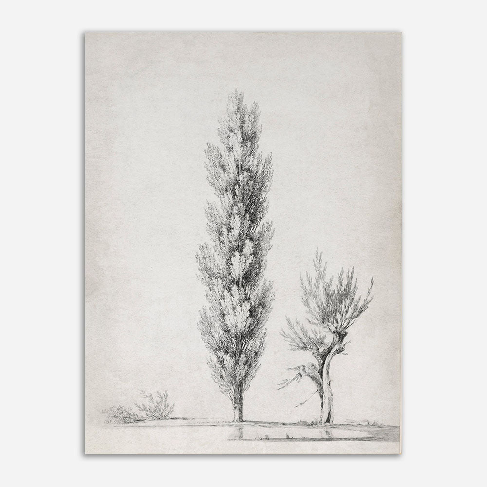Quadro