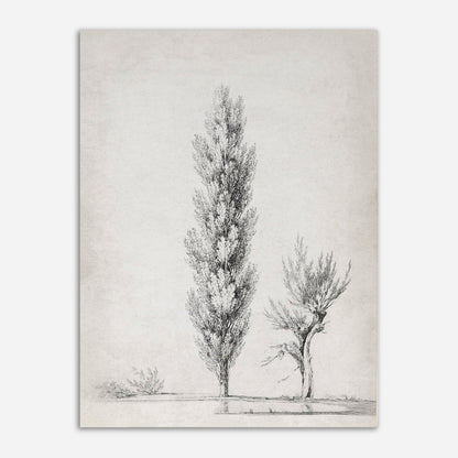 Quadro