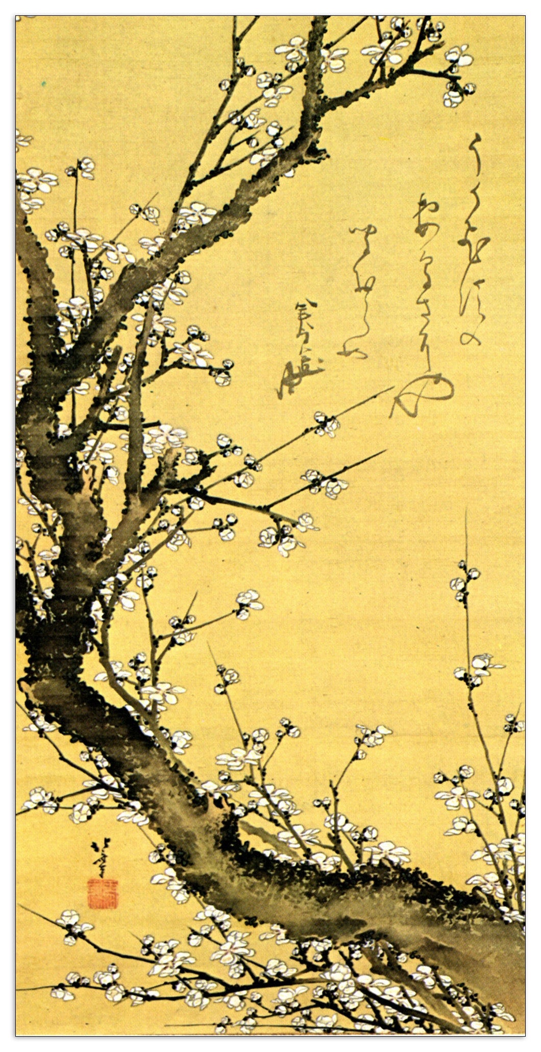 Flowering plum cm 70x140
