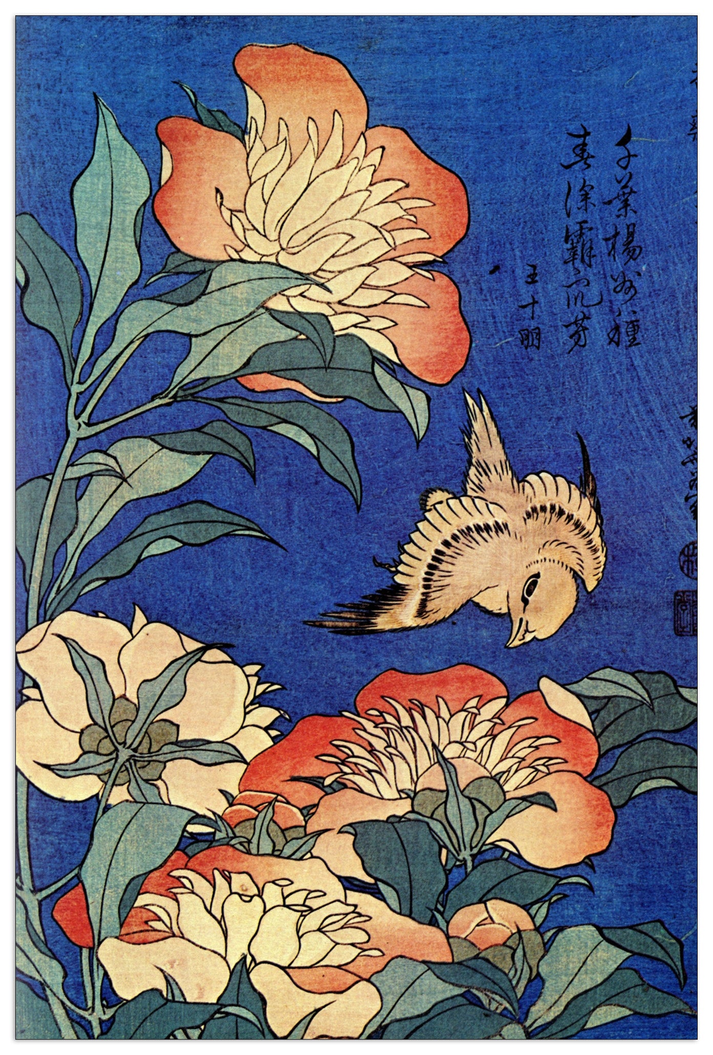 Flowers cm 90x135
