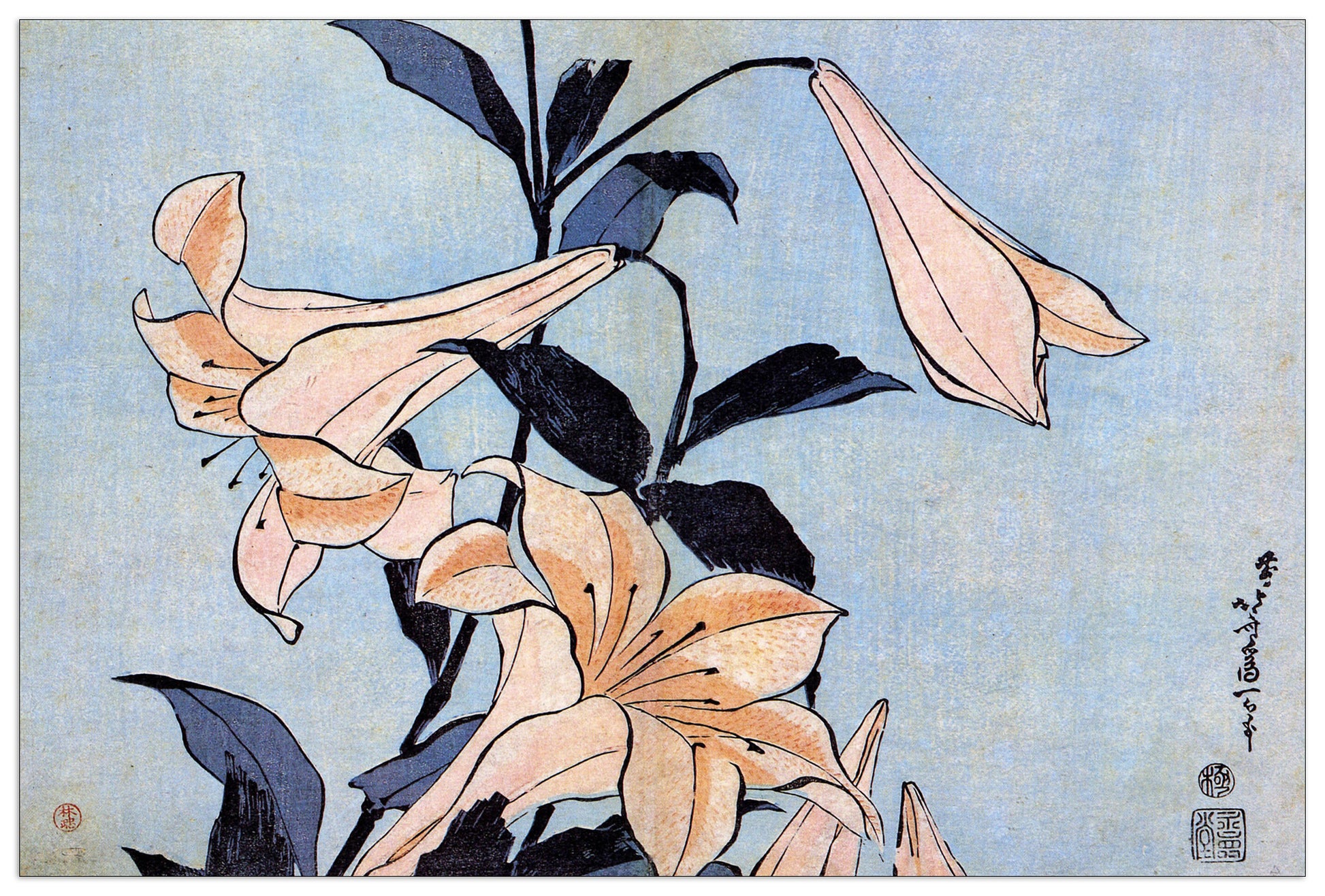 Lilies cm 90x60