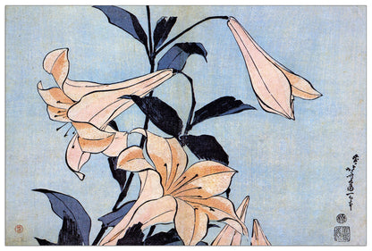 Lilies cm 90x60