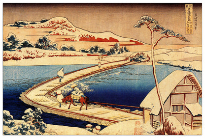 The swimming bridge of Sano cm 135x90