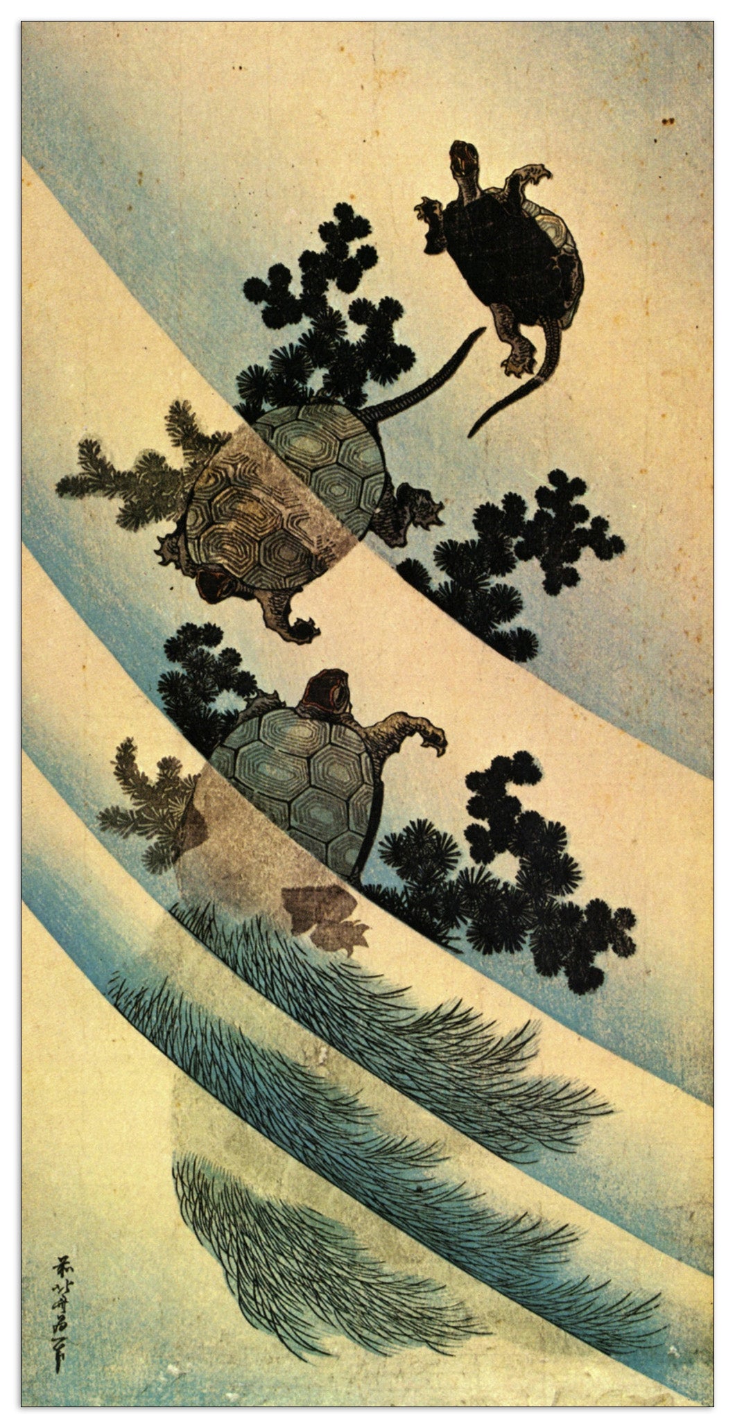 Turtles cm 50x100