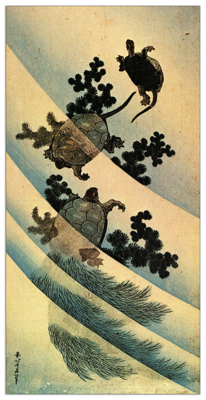 Turtles cm 50x100