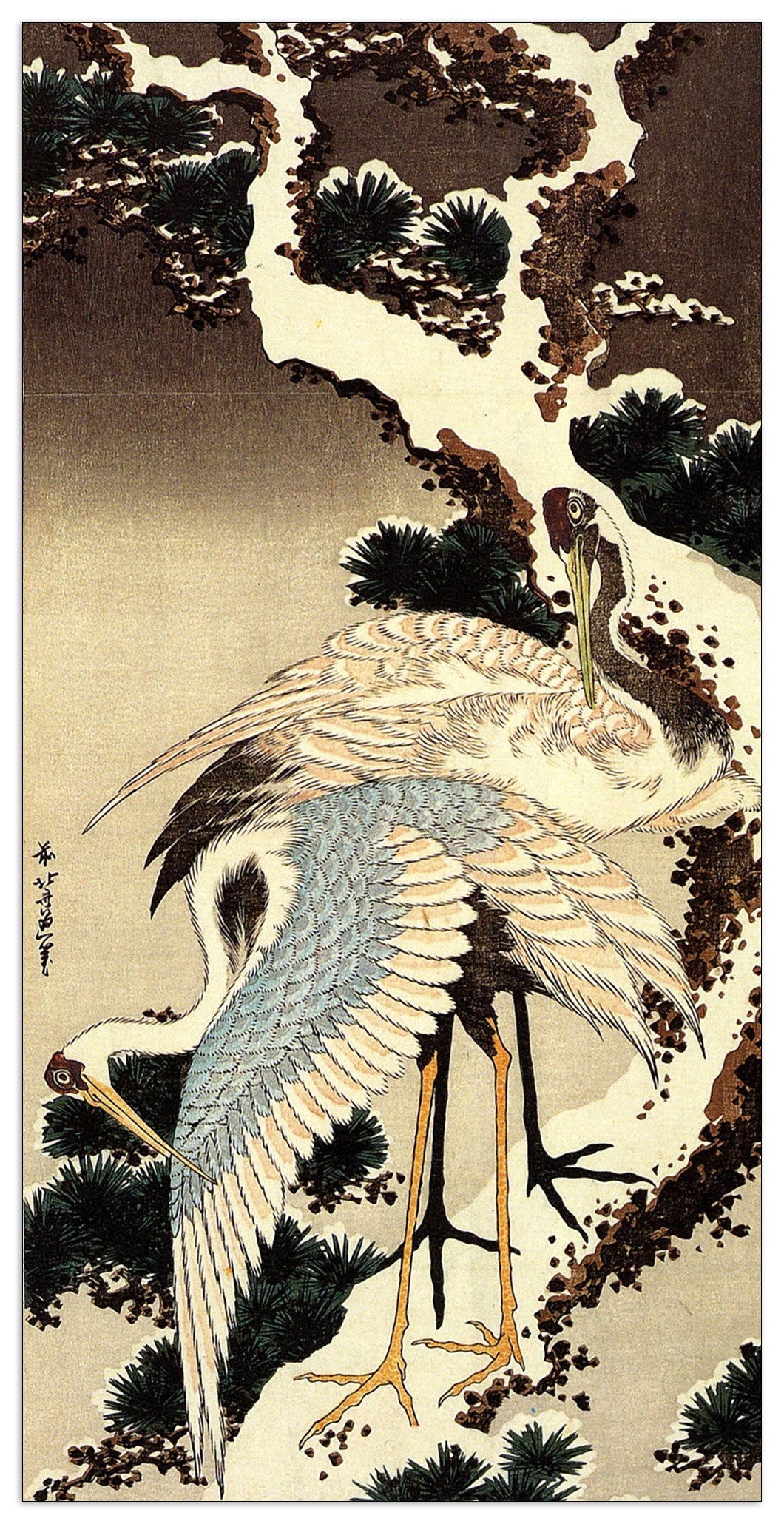 Two cranes on a pine covered with snow cm 50x100
