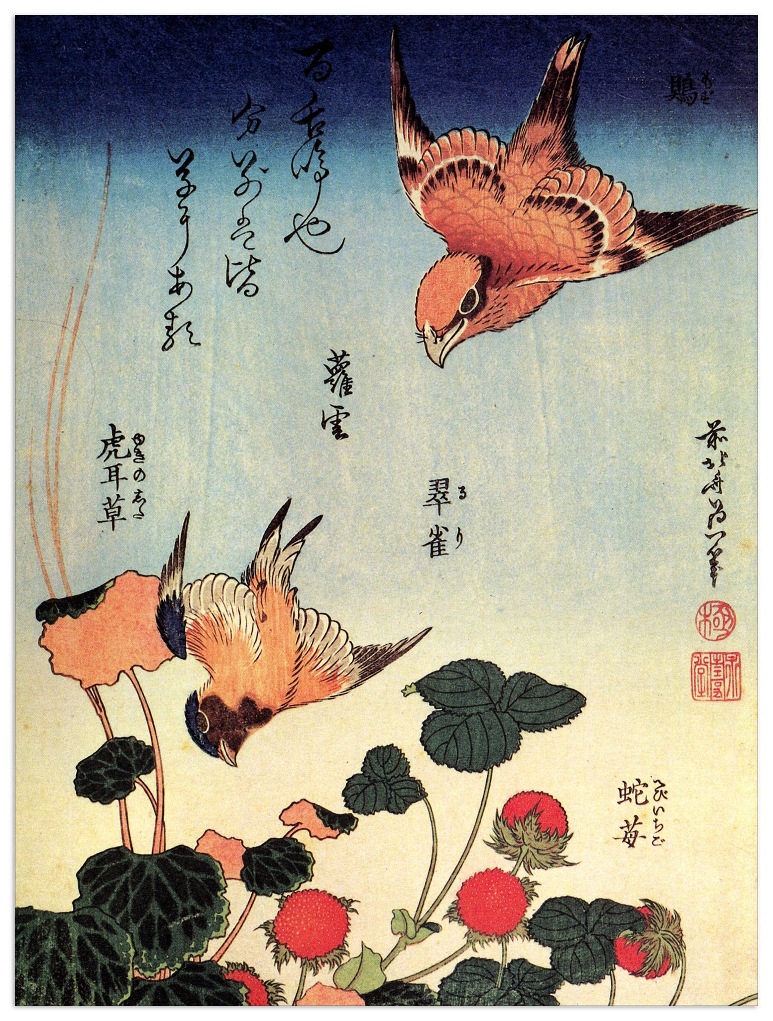 Wild strawberries and birds cm 80x60