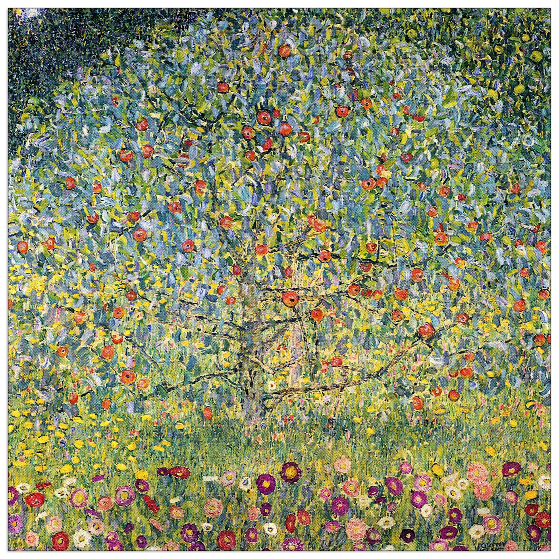 Apple Tree cm 50x50