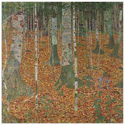 Birch Forest cm 50x50