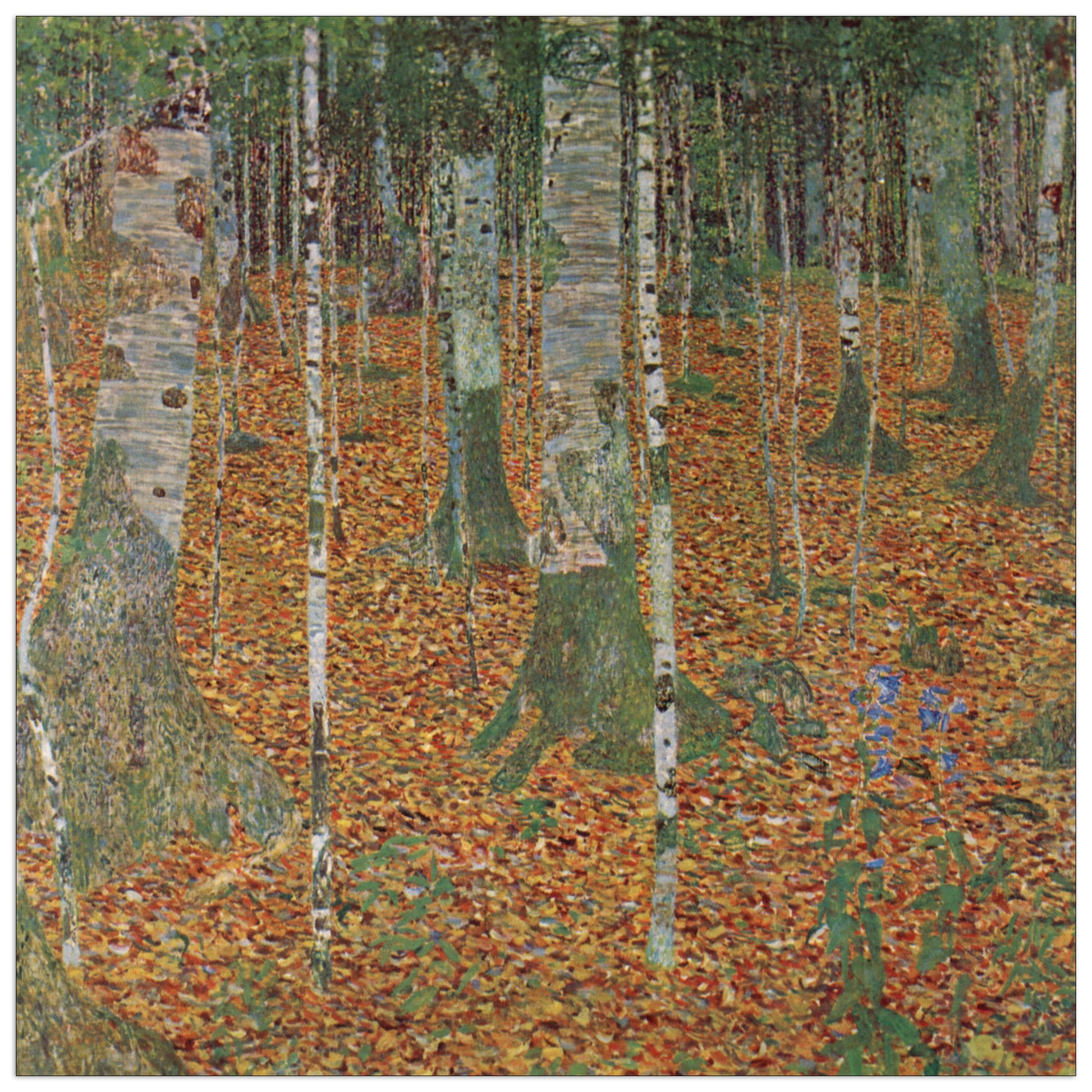 Birch Forest cm 30x30