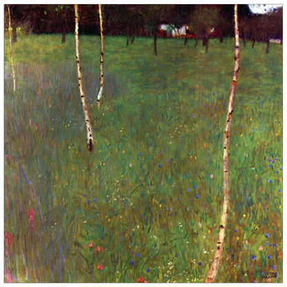 Farmhouse cm 50x50