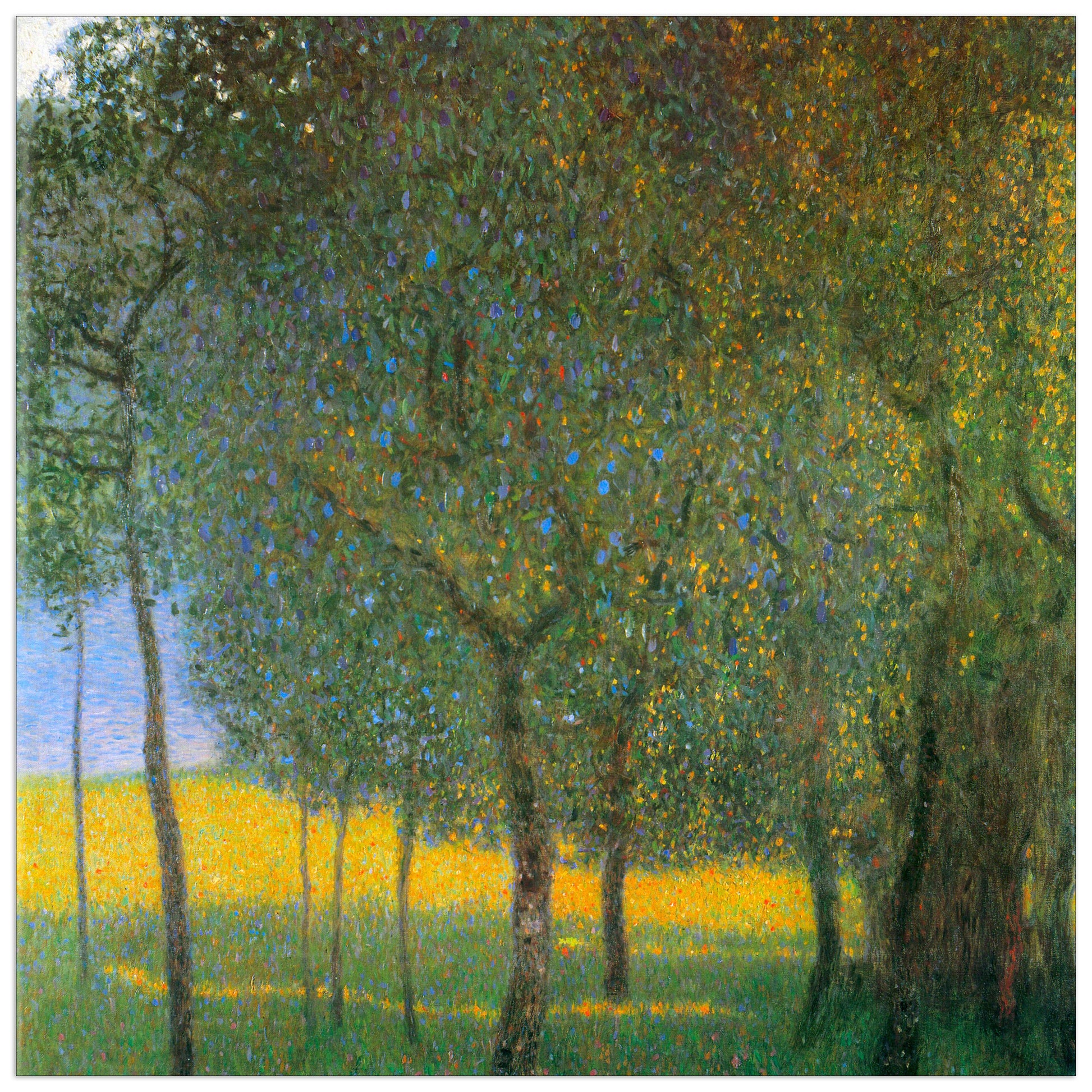 Fruit Trees cm 100x100