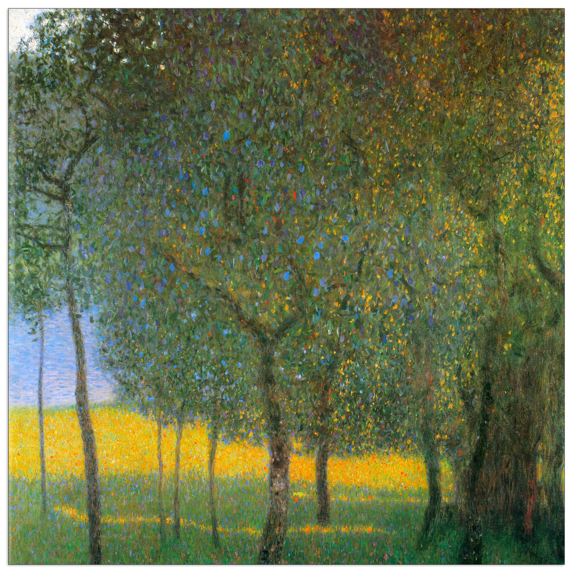Fruit Trees cm 50x50