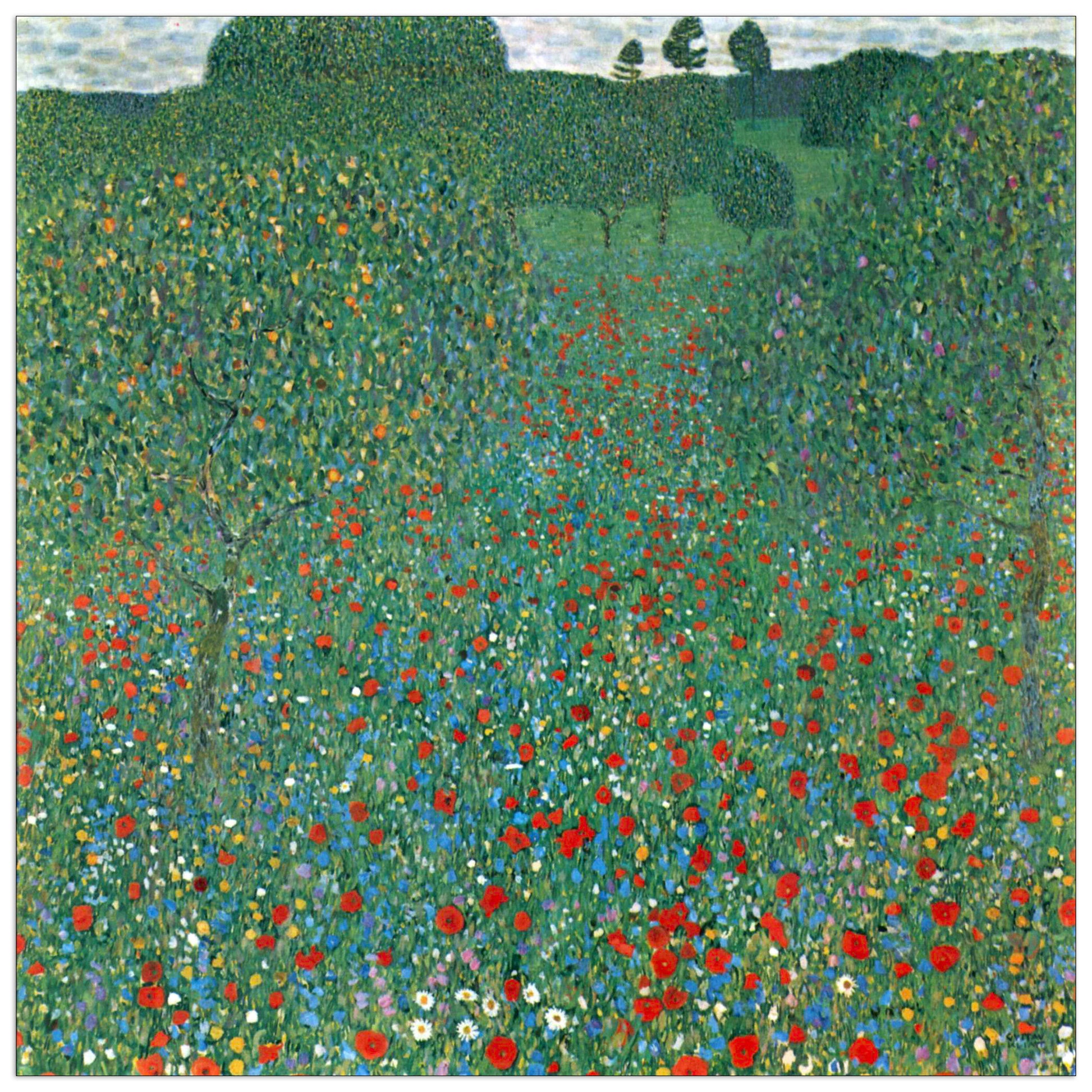 Poppy Field cm 100x100