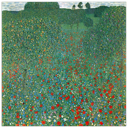 Poppy Field cm 70x70