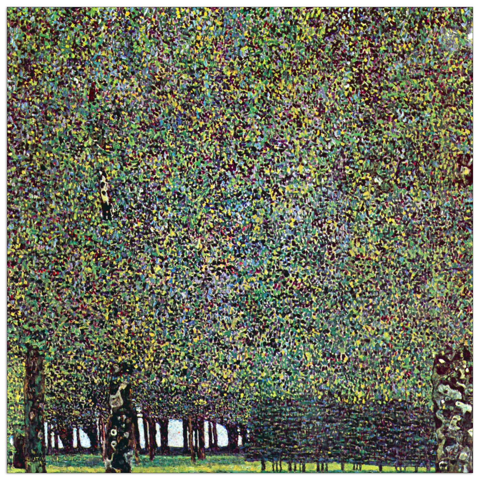 The Park cm 100x100