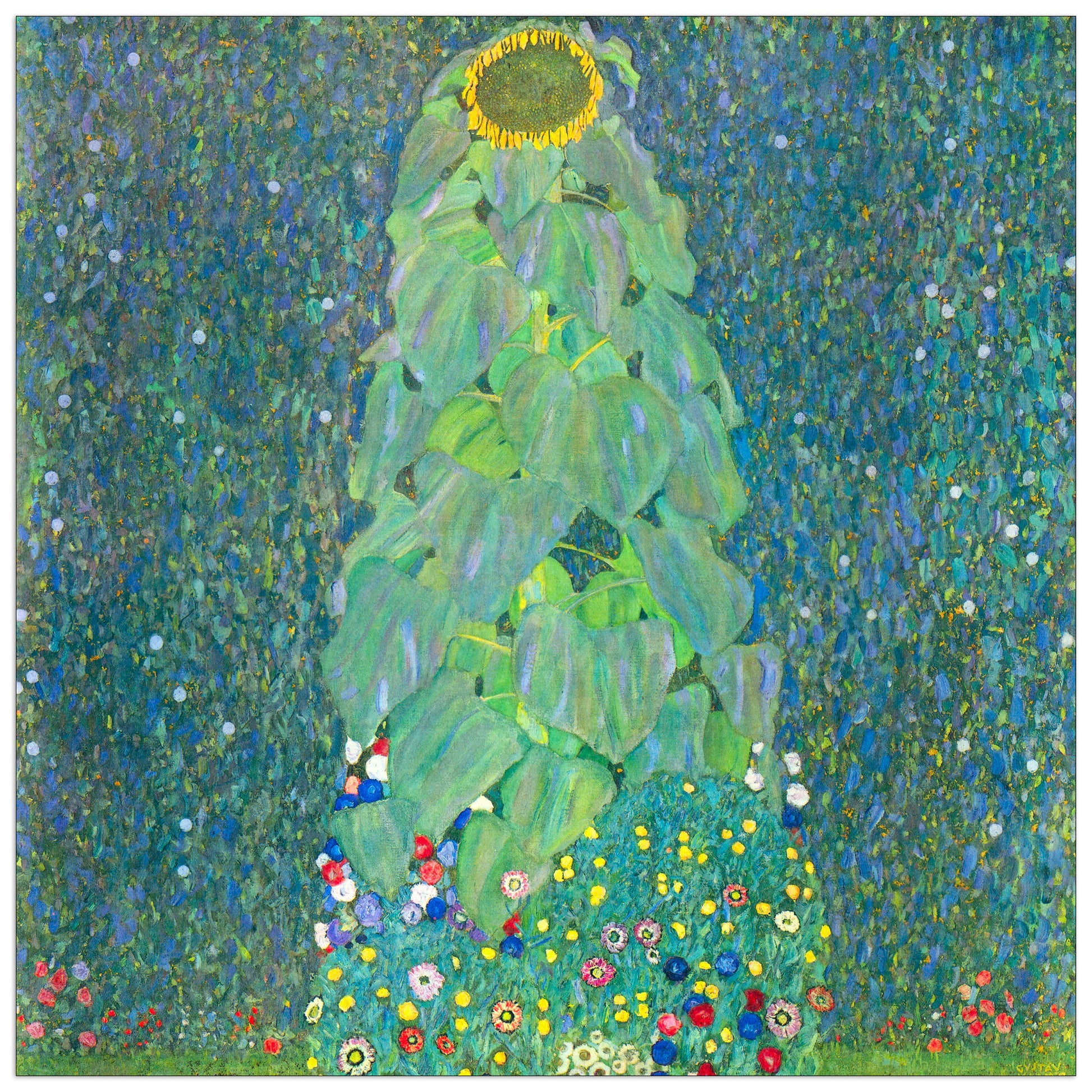 The Sunflower cm 30x30