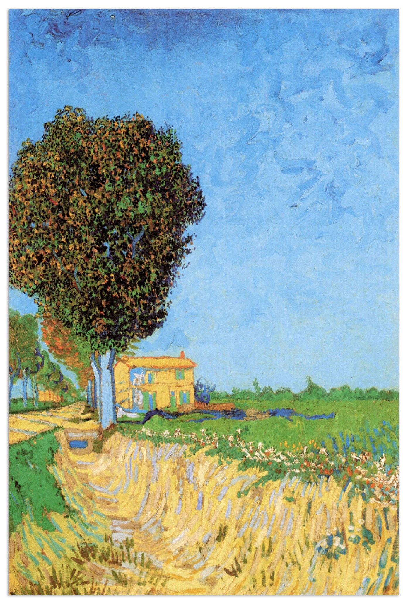 A Lane near Arles cm 60x90